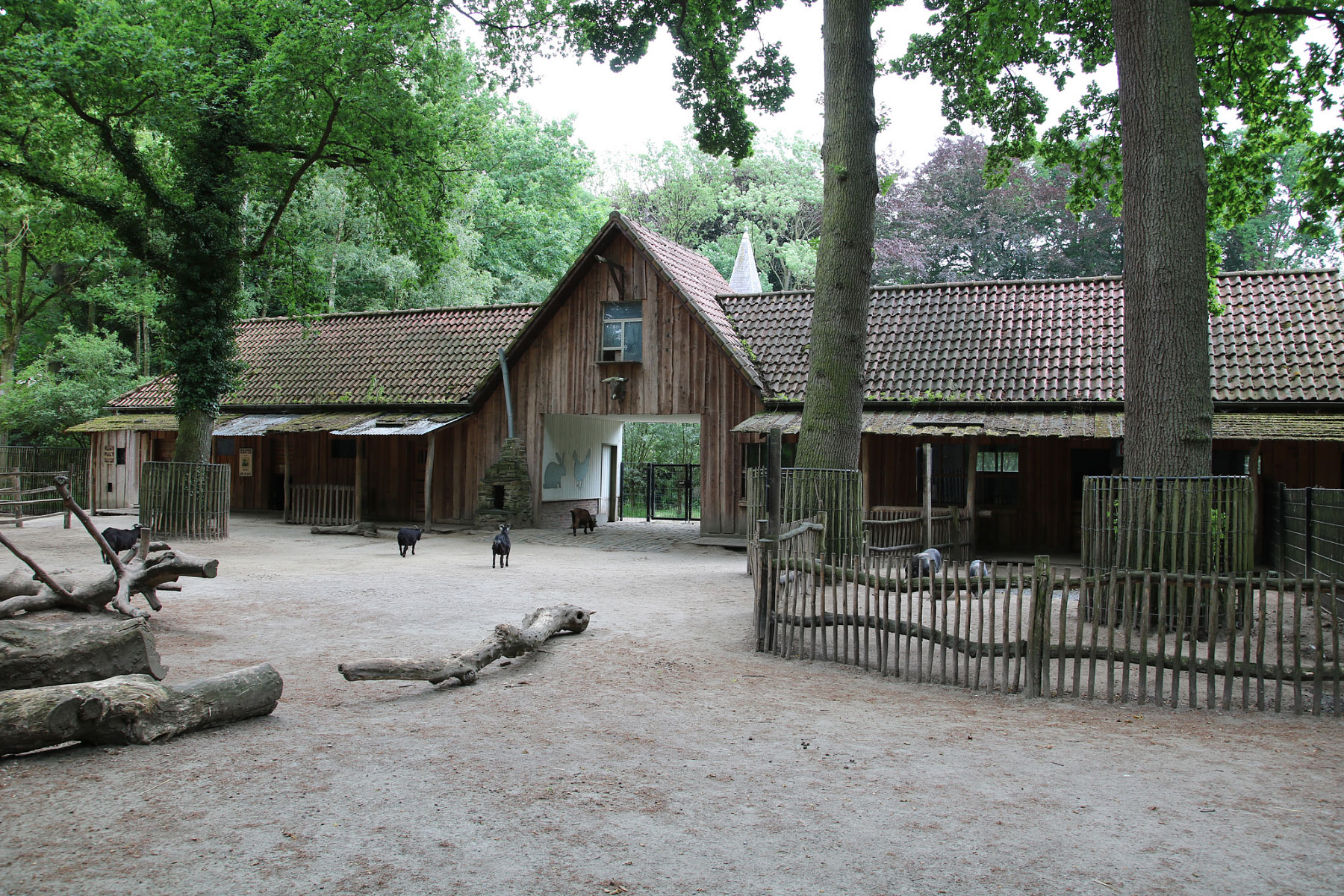 Dierenpark Planckendael